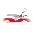 Ceremonial Scissors