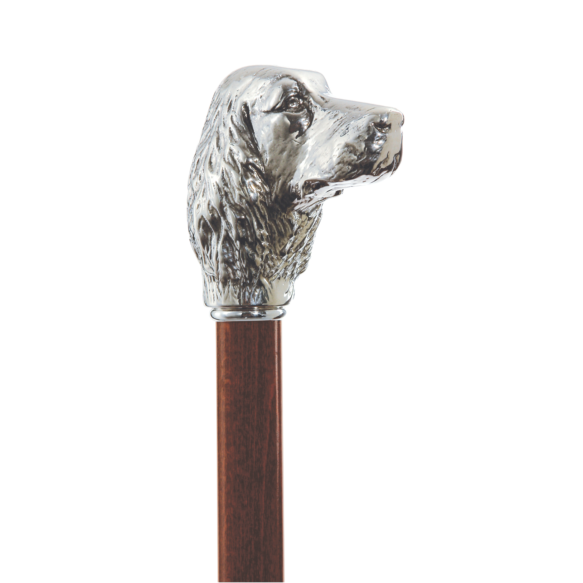 Irish Setter Walking Cane