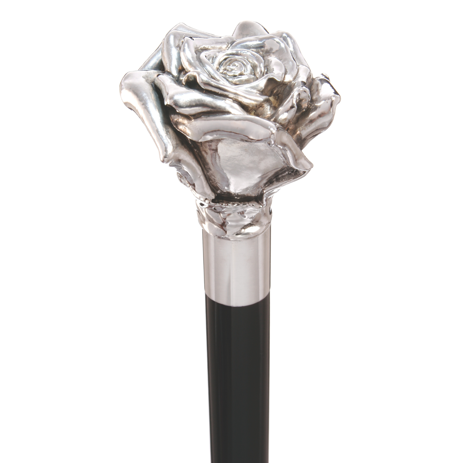 American Beauty Walking Stick