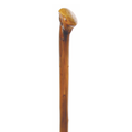 Appalachian Chestnut