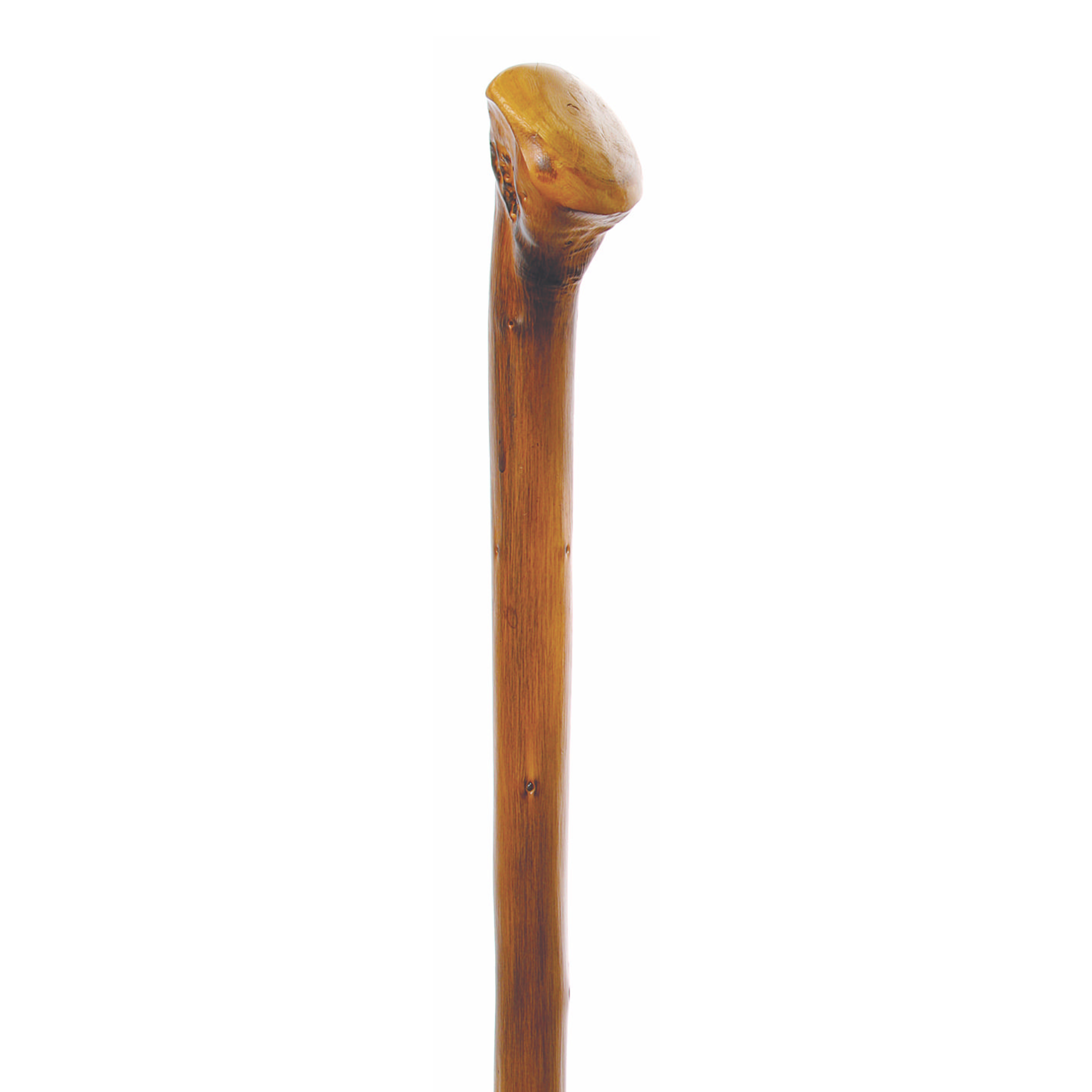 Appalachian Chestnut