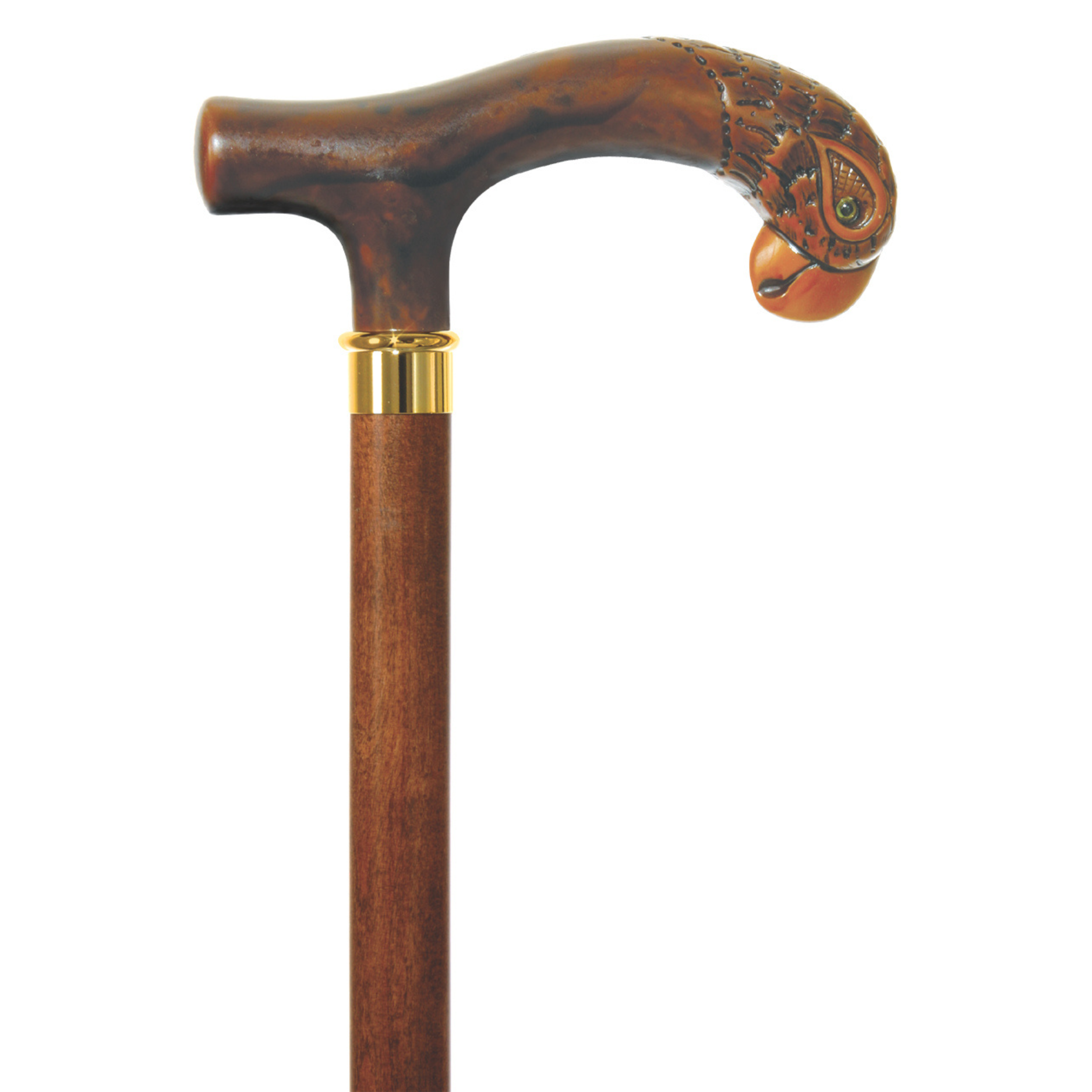 Polly Parrot Walking Cane