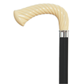 Einstein Walking Cane