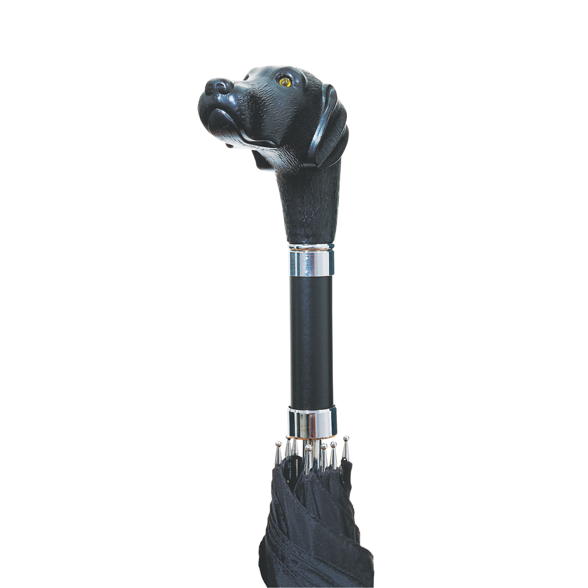 Scout Umbrella