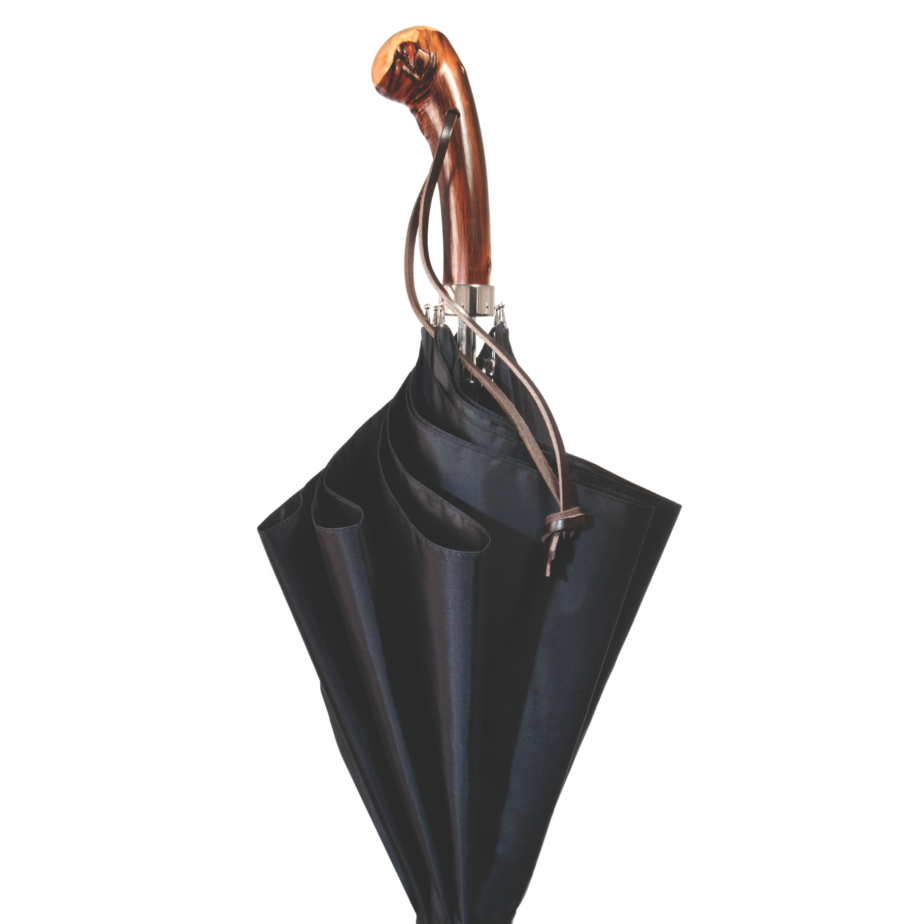 Appalachian Umbrella