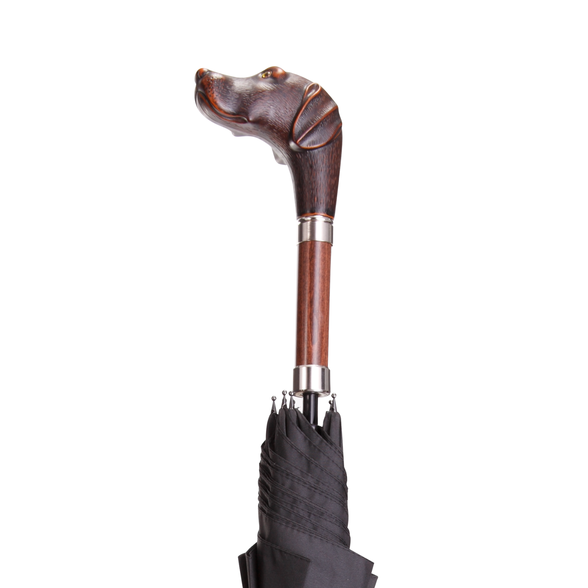 Brownie Umbrella