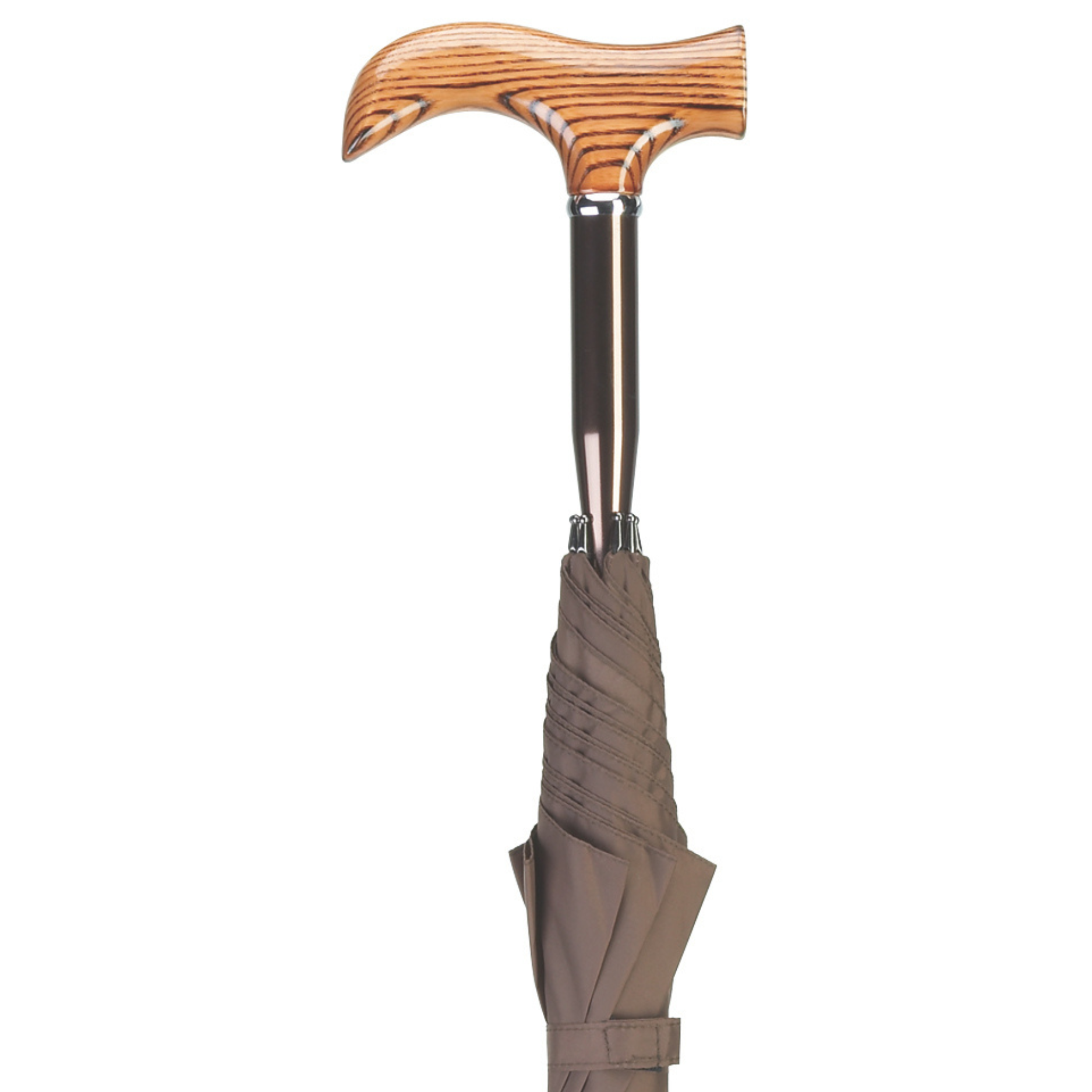 Umbrella Cane