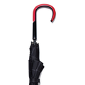 Sculpted Crook Handle Umbrella