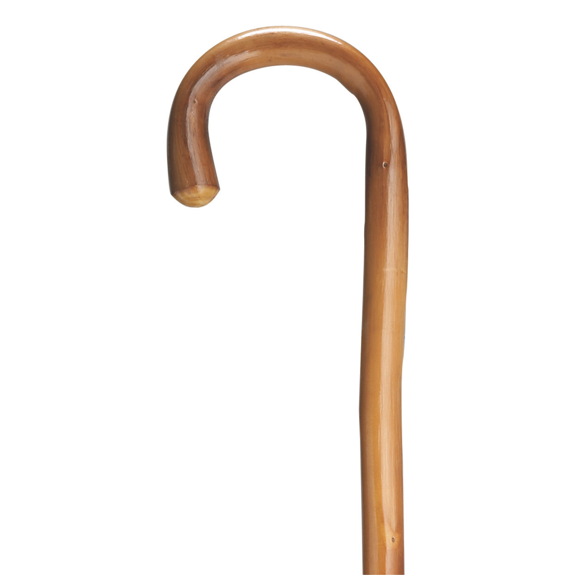 Tall Chestnut Crook Cane - Harvy Canes