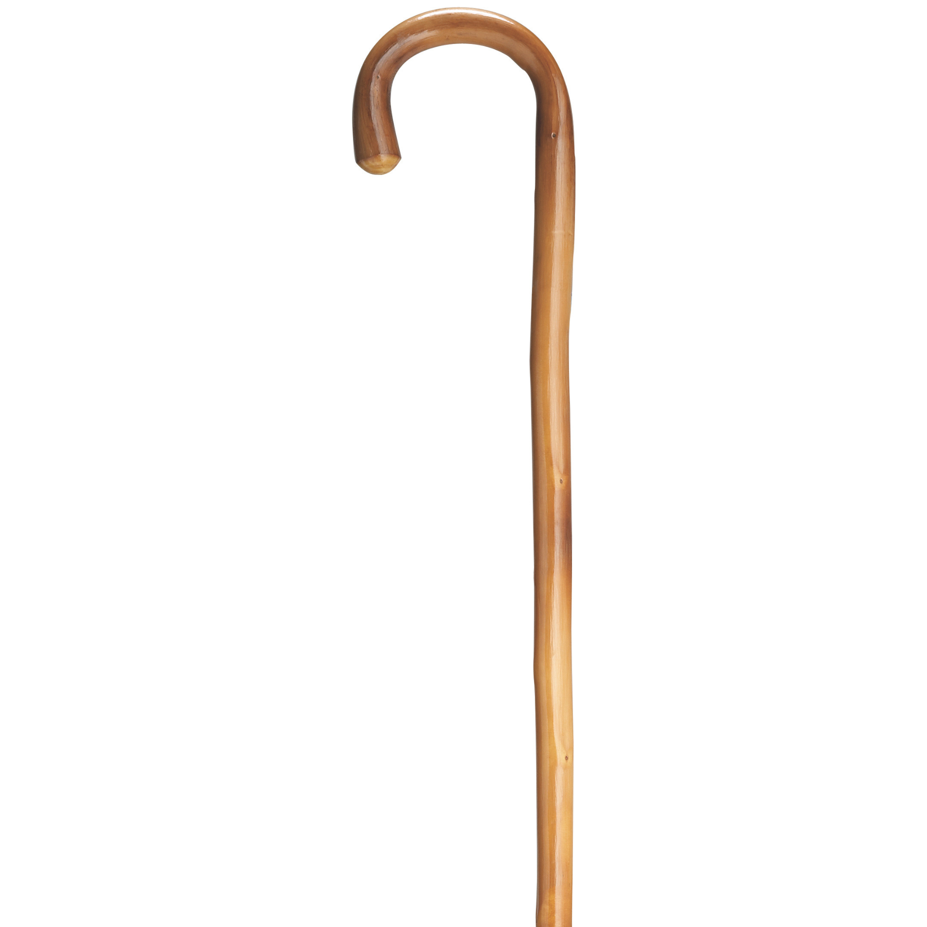 Tall Chestnut Crook Cane - Harvy Canes