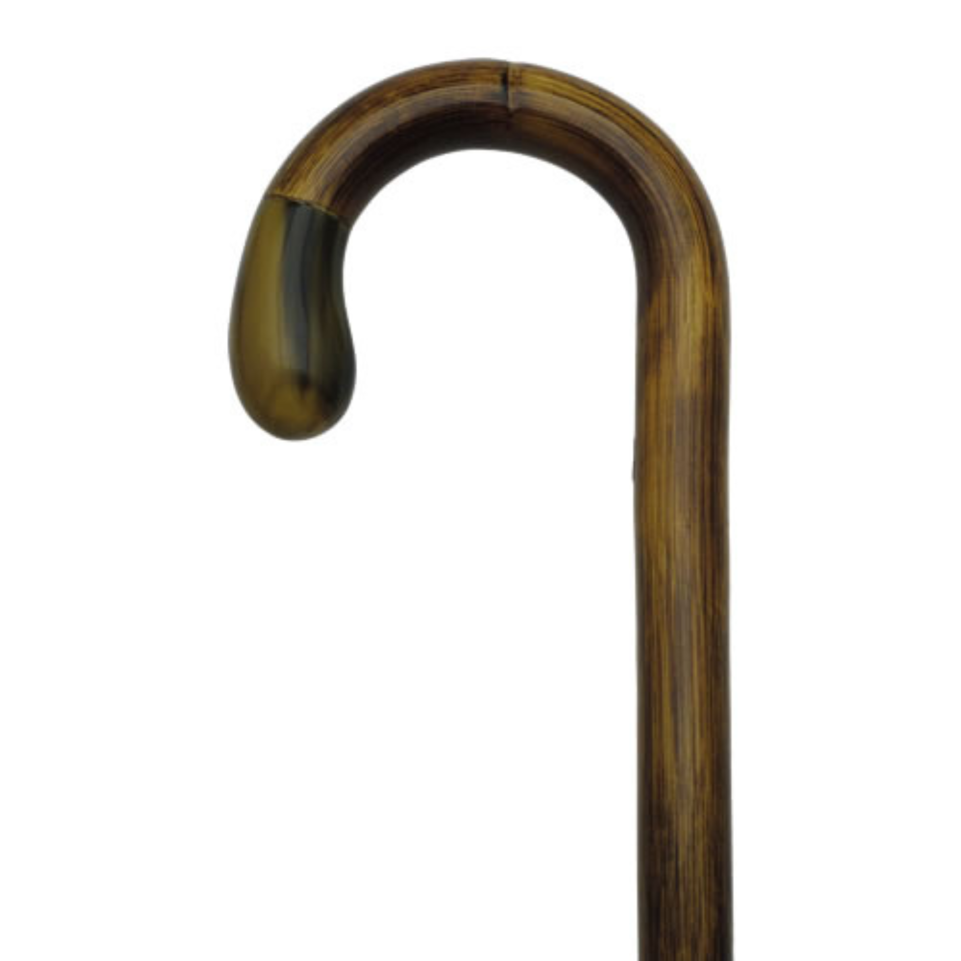 Manilla with Genuine Horn Bulb