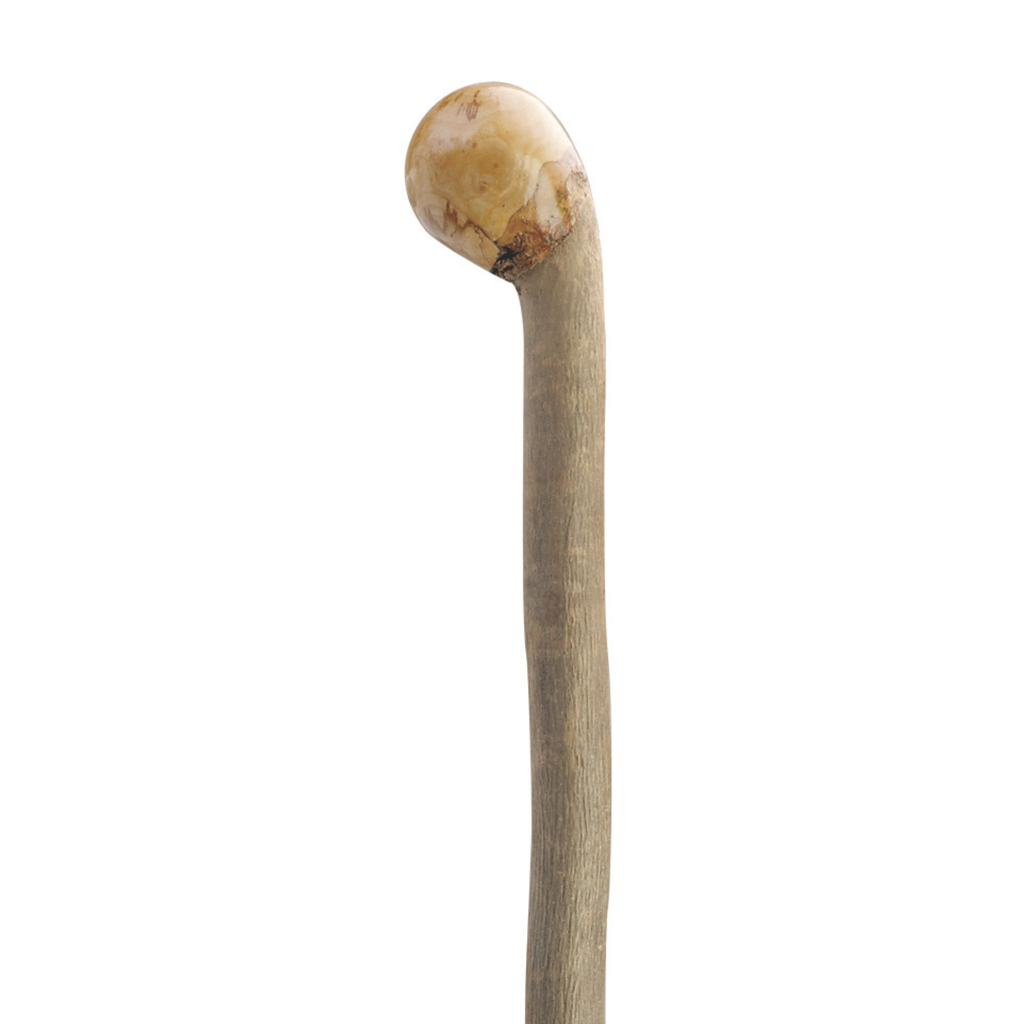 Ashwood Walking Stick - Harvy Canes