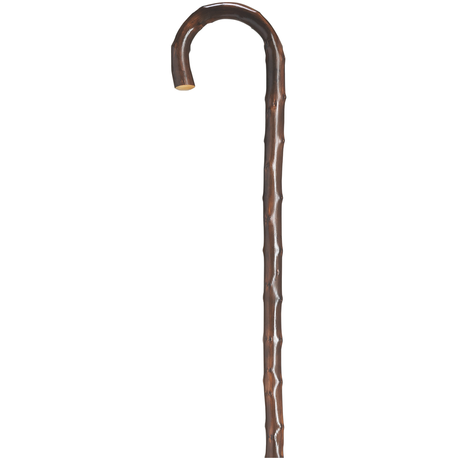 Congo Chestnut Crook Cane