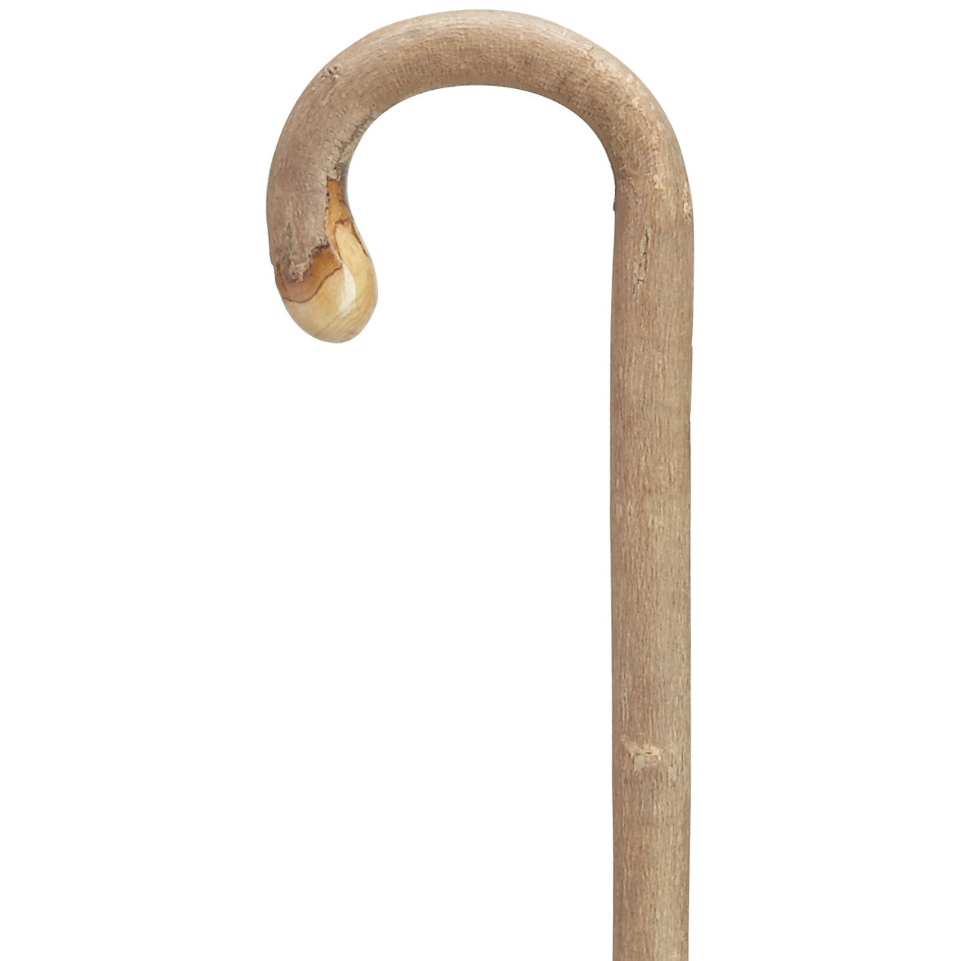Ash Crook Cane-Bulb Nose