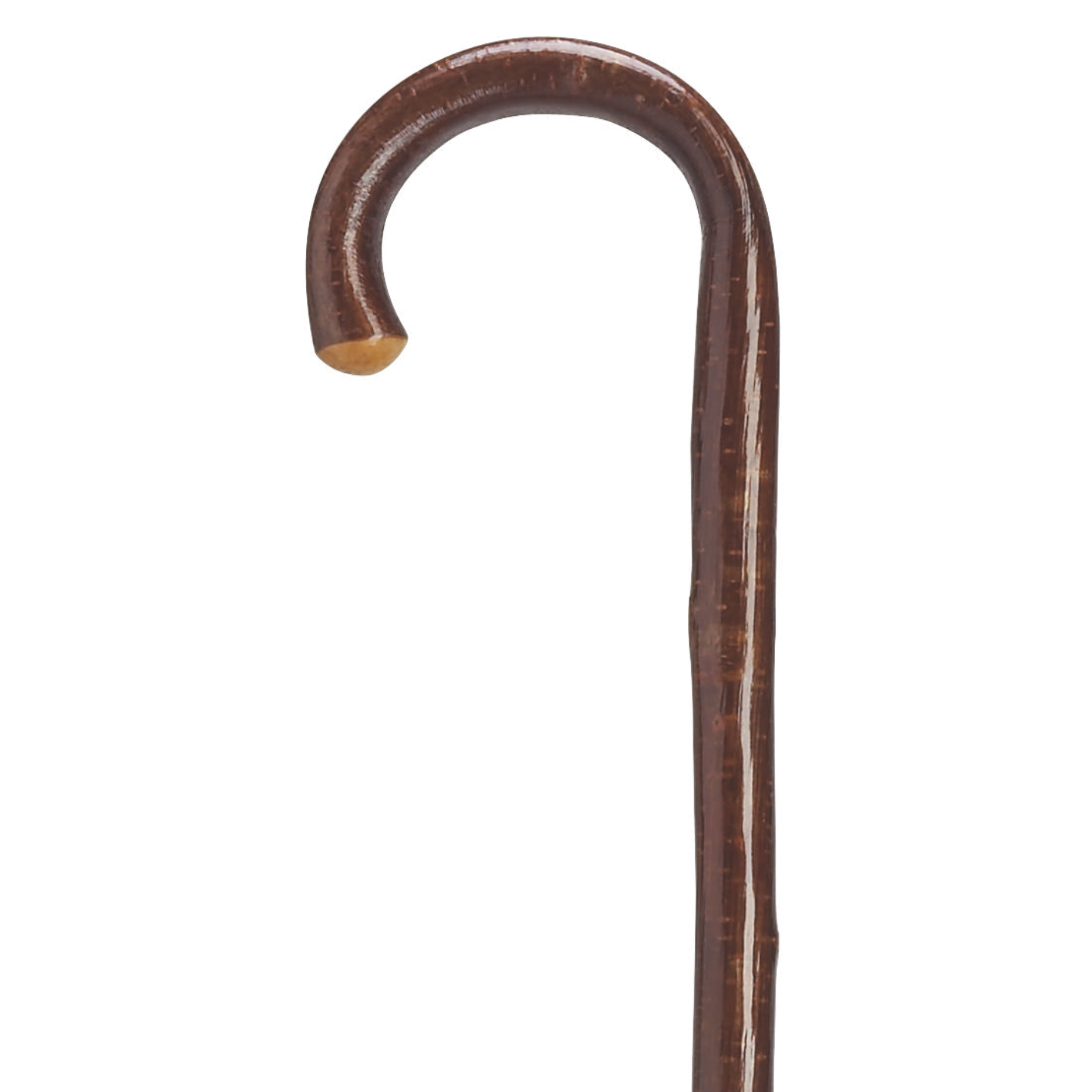 Hazelwood Crook Cane