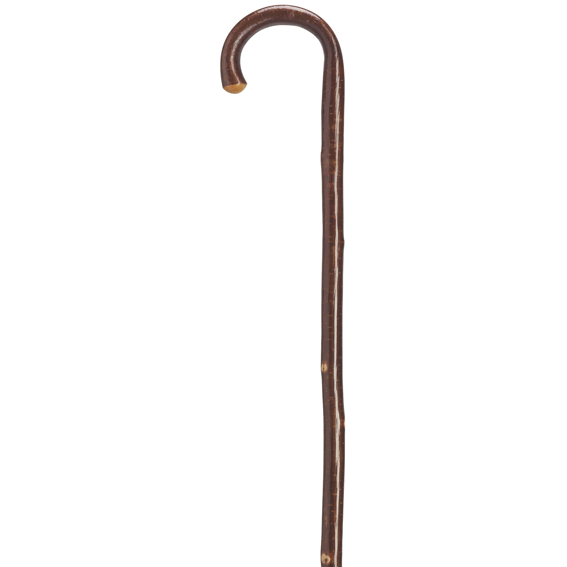 Hazelwood Crook Cane