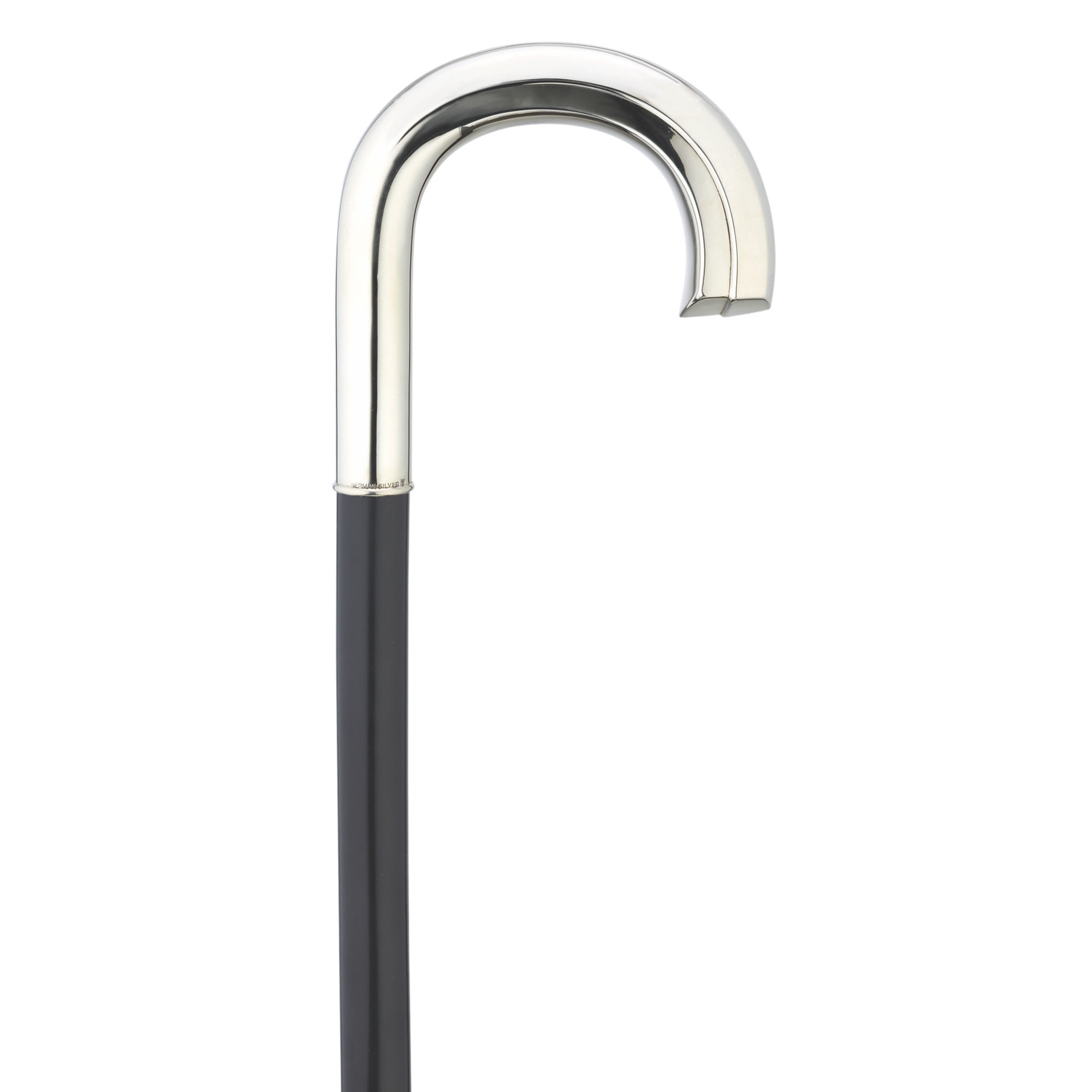 Elegant Tourist Cane