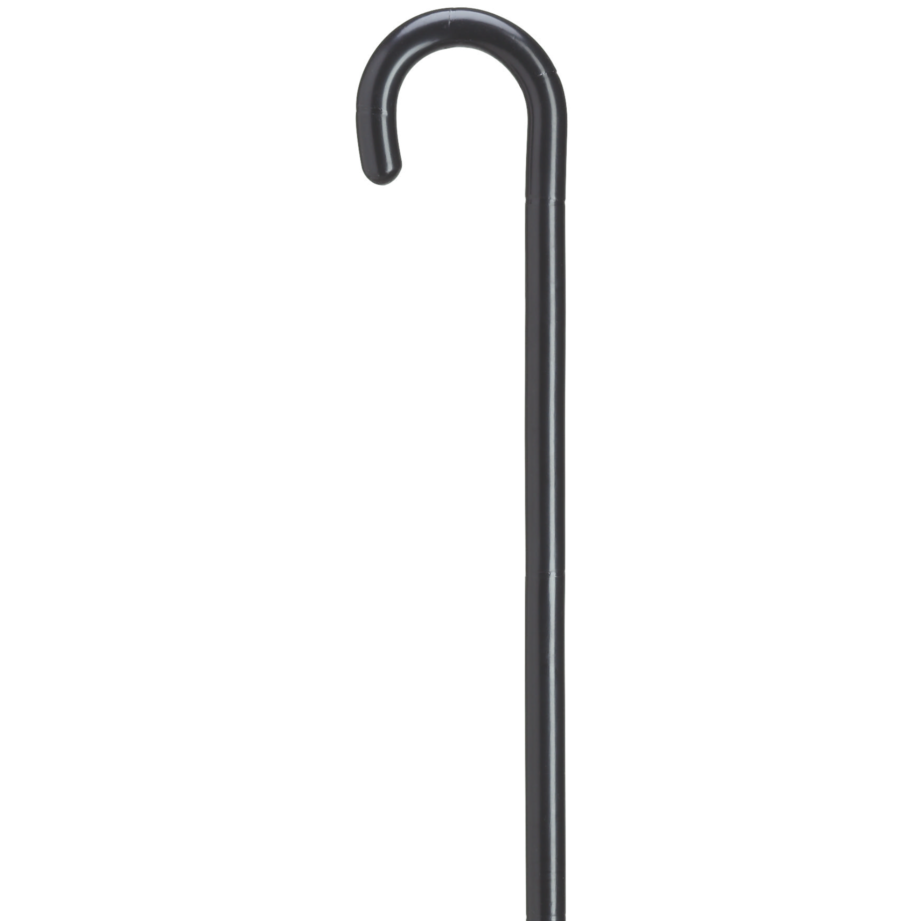 Petite Crook Handle Cane