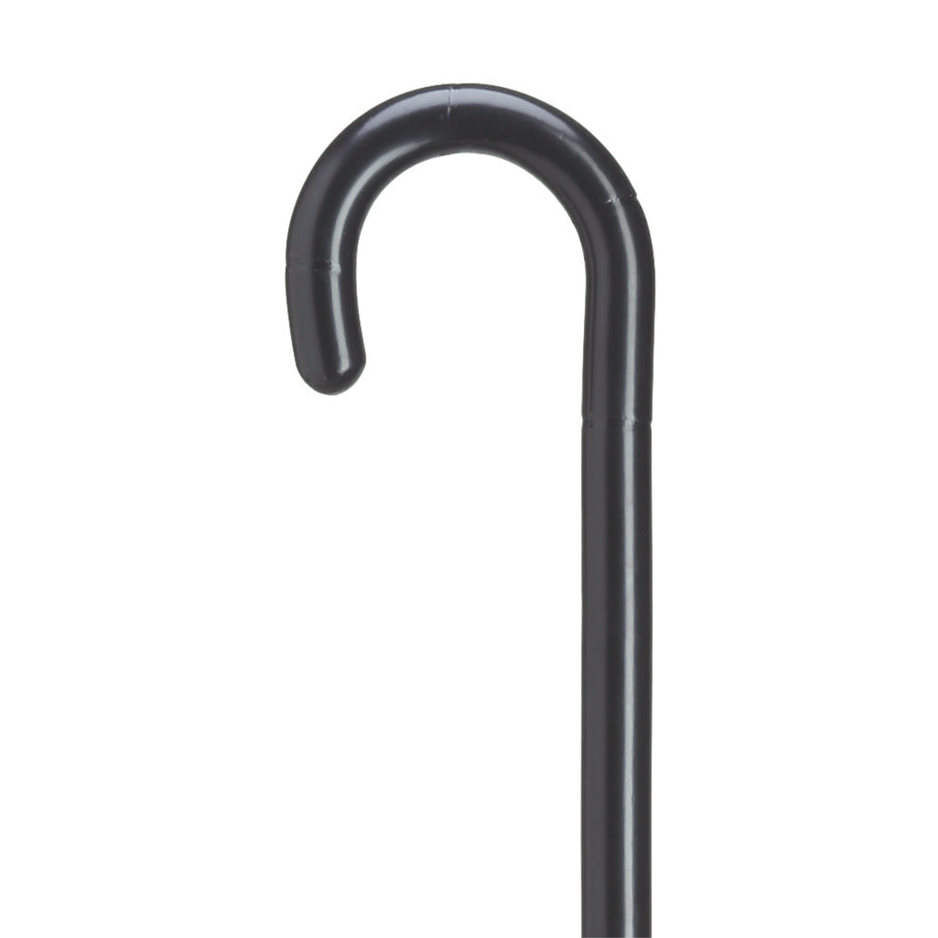 Petite Crook Handle Cane