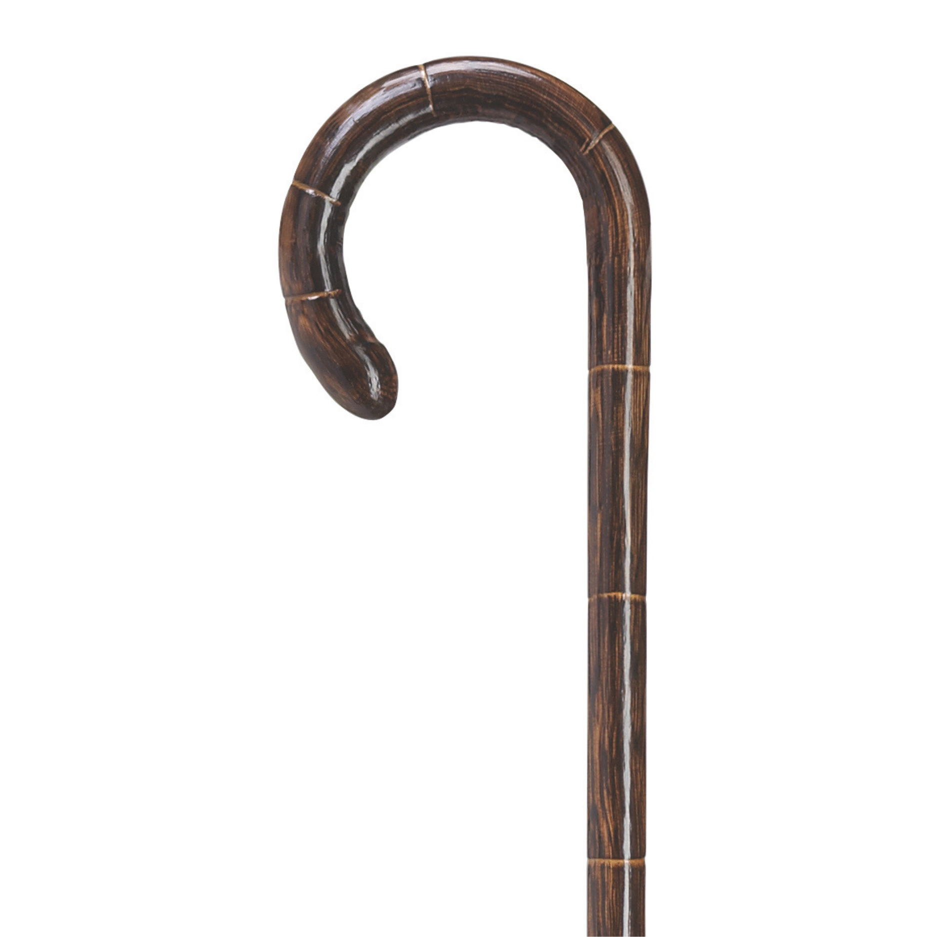 Petite Crook Oak Cane - Harvy Canes