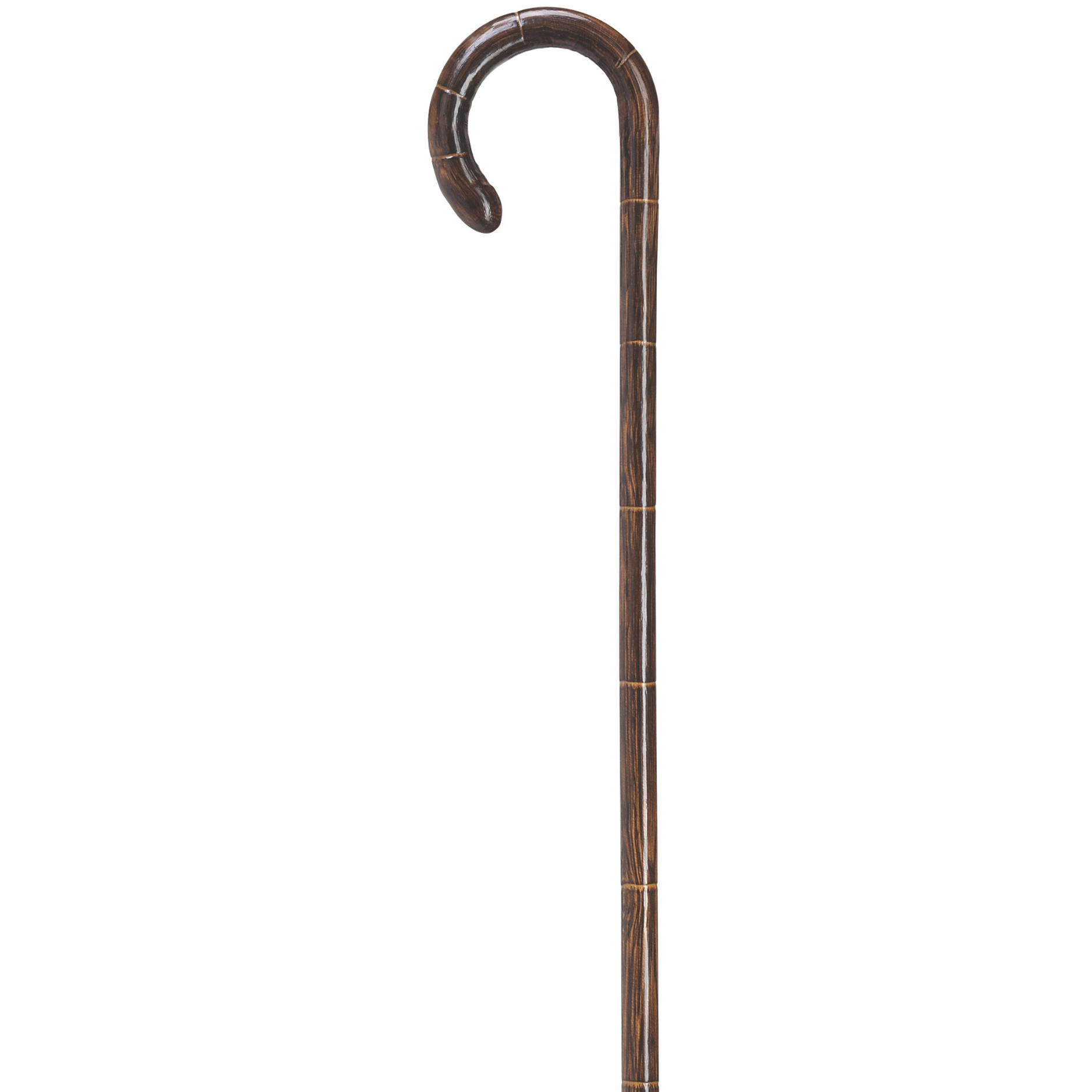 Petite Crook Oak Cane - Harvy Canes