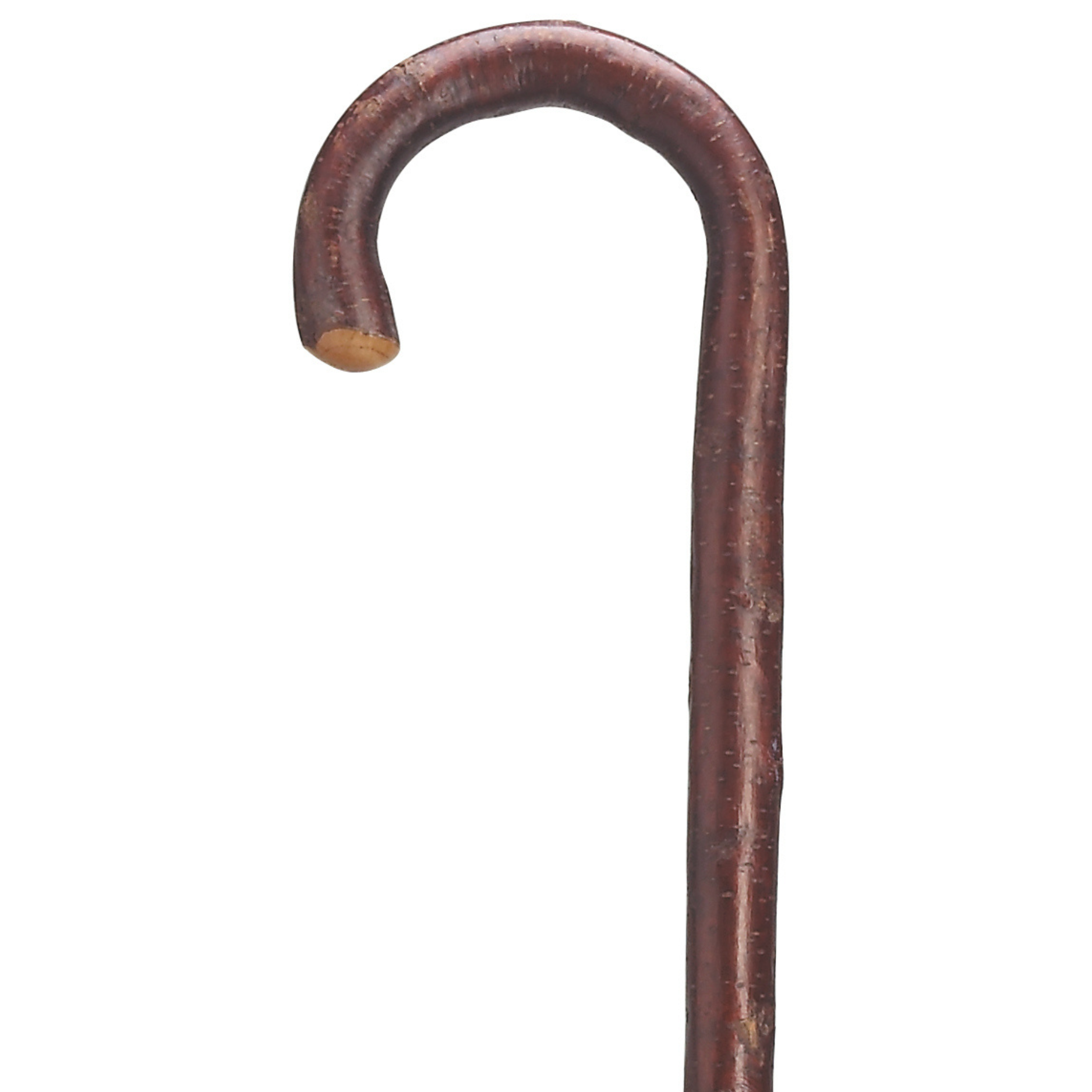 Cherry Wood Tourist Cane