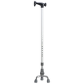 J Handle Cane