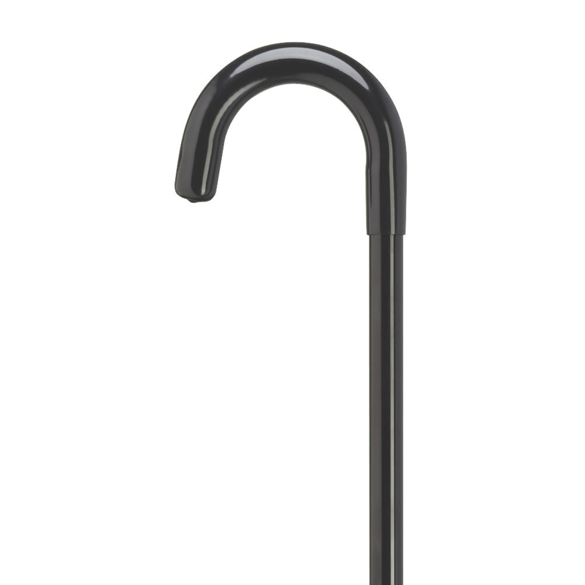 Black Tourist Walking Cane