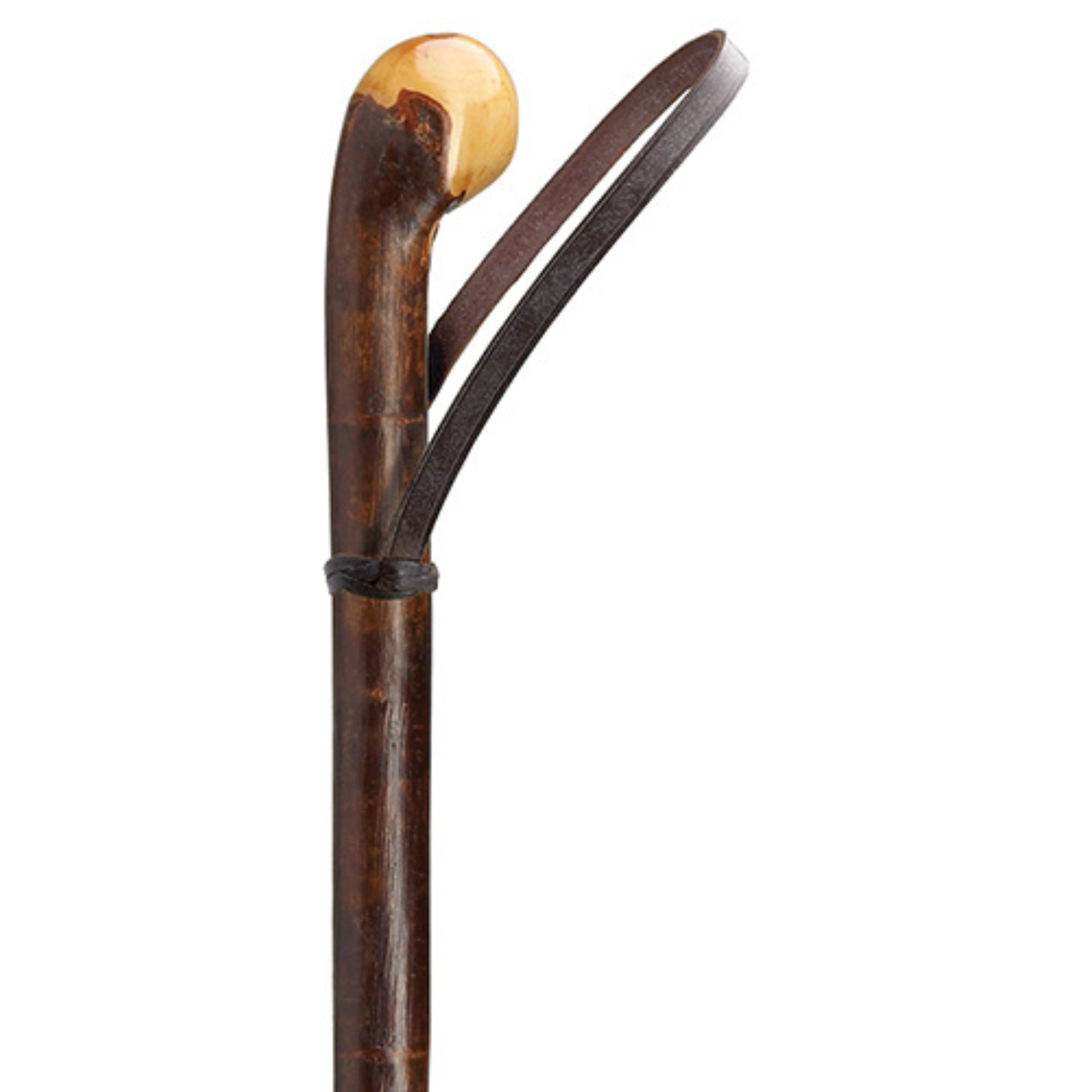 Hazelwood Walking Stick - Leather Loop