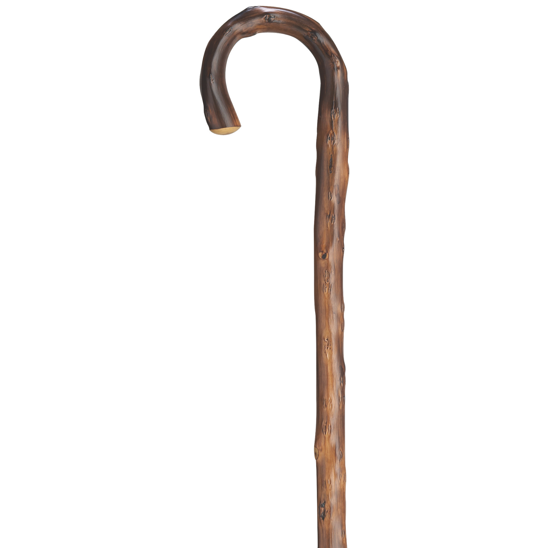 Congo Crook Cane - Combi Spike