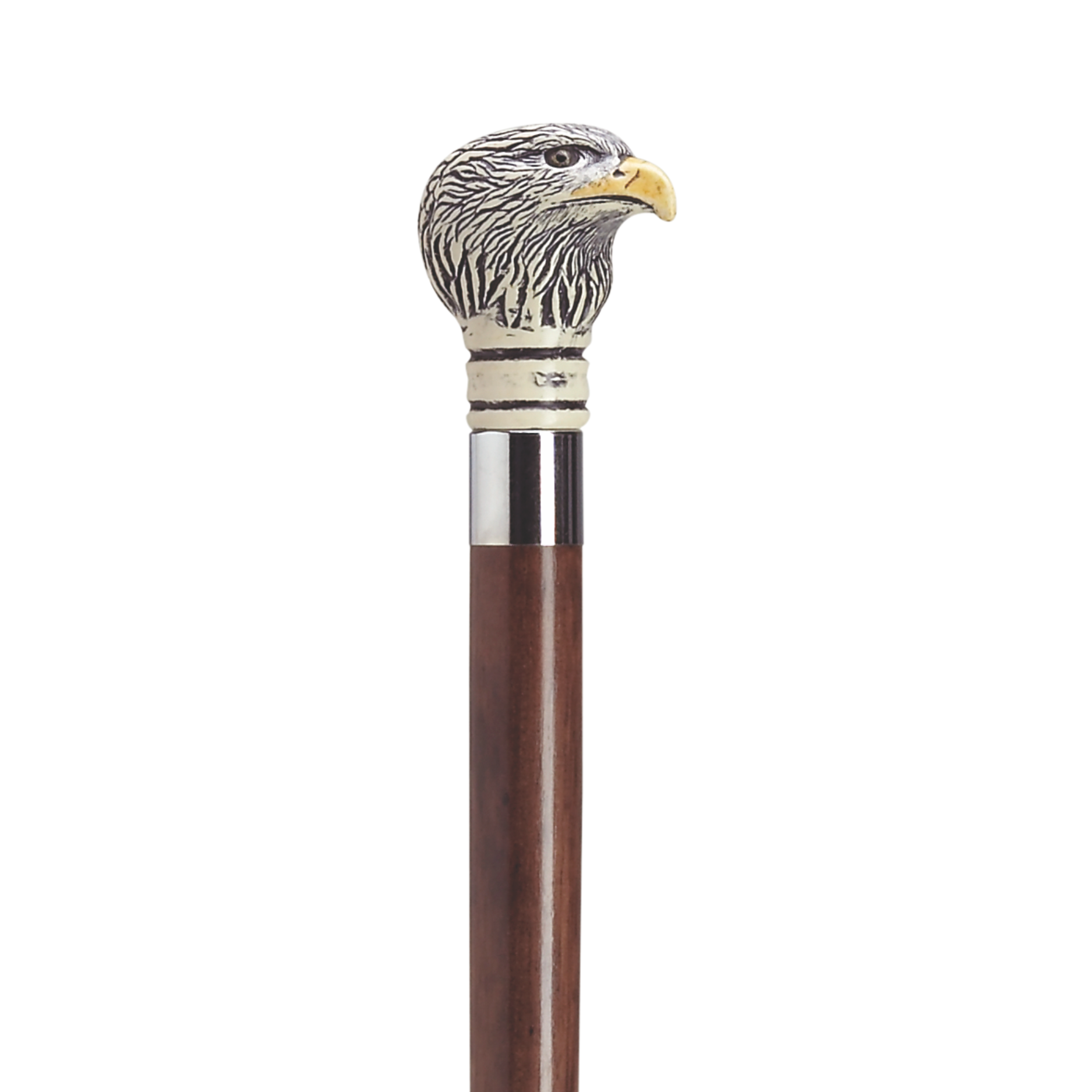 Bald Eagle Scrimshaw Cane-Two Colors Available