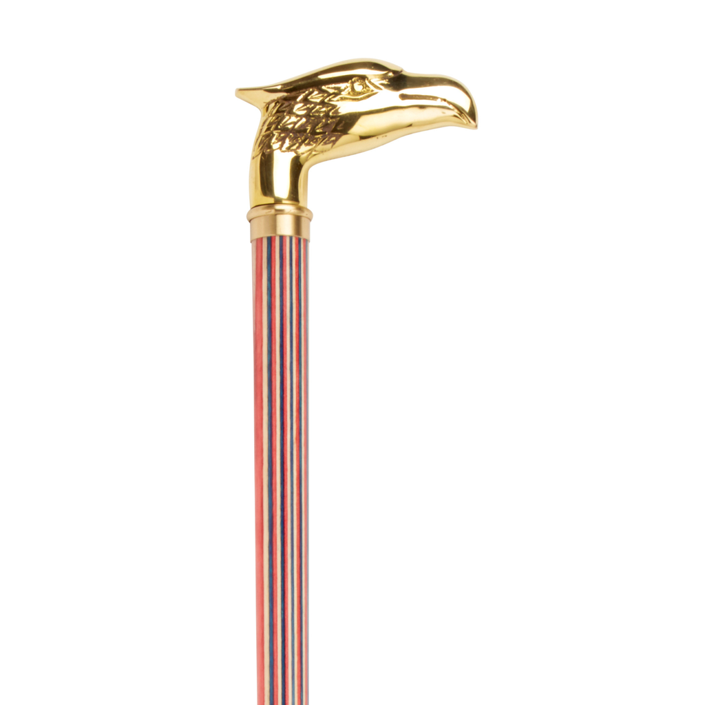 The Defender Walking Cane