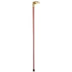 The Defender Walking Cane