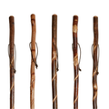 Twisted Vine Hiking Stick