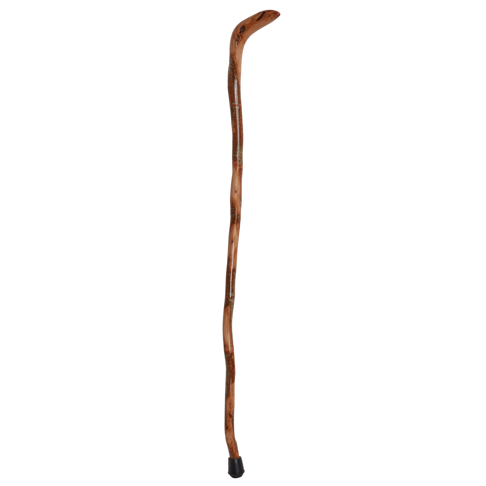 Wild Wood Root Cane