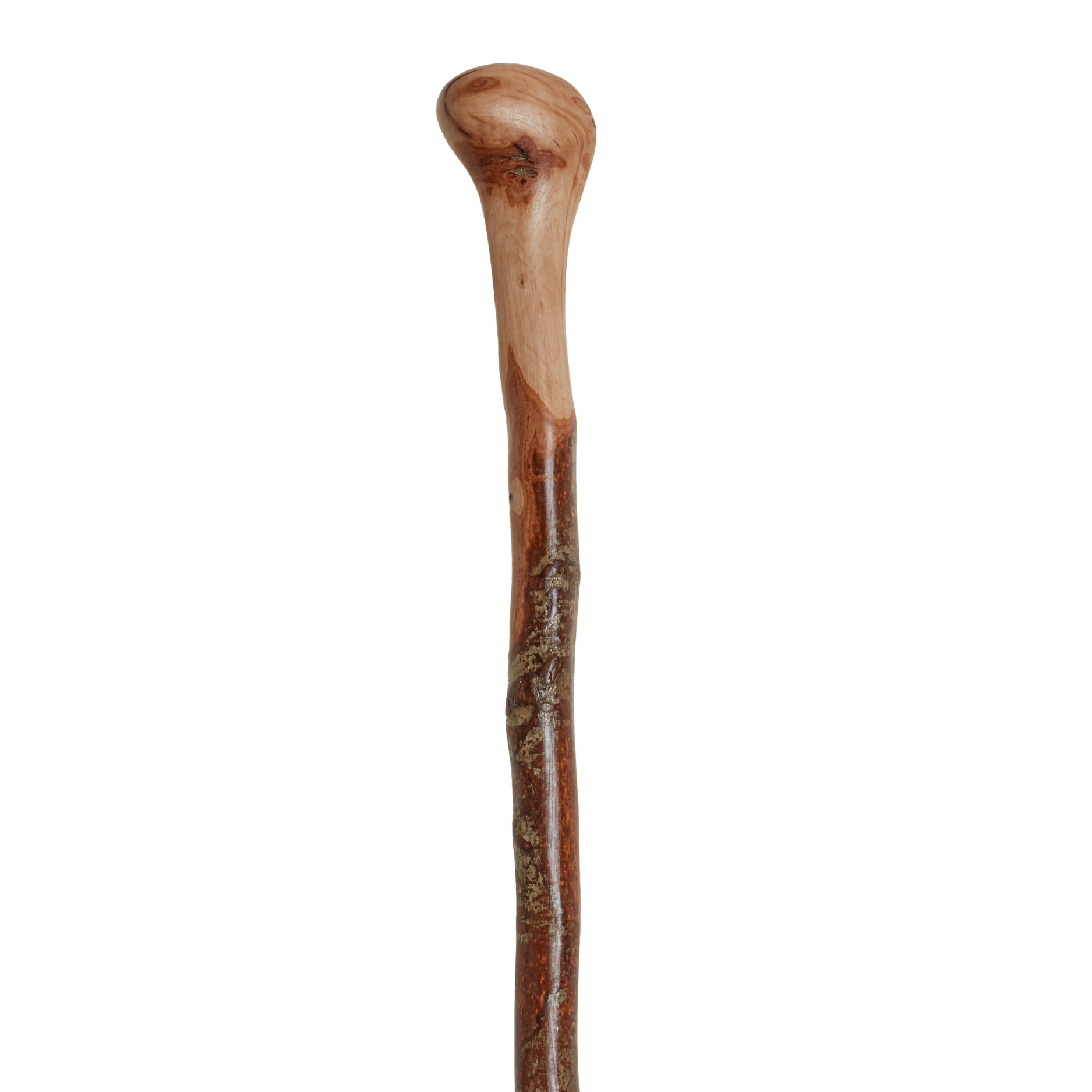 Wild Wood Root Knob Cane