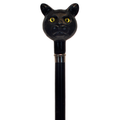 Catatude