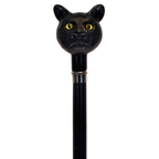 Catatude