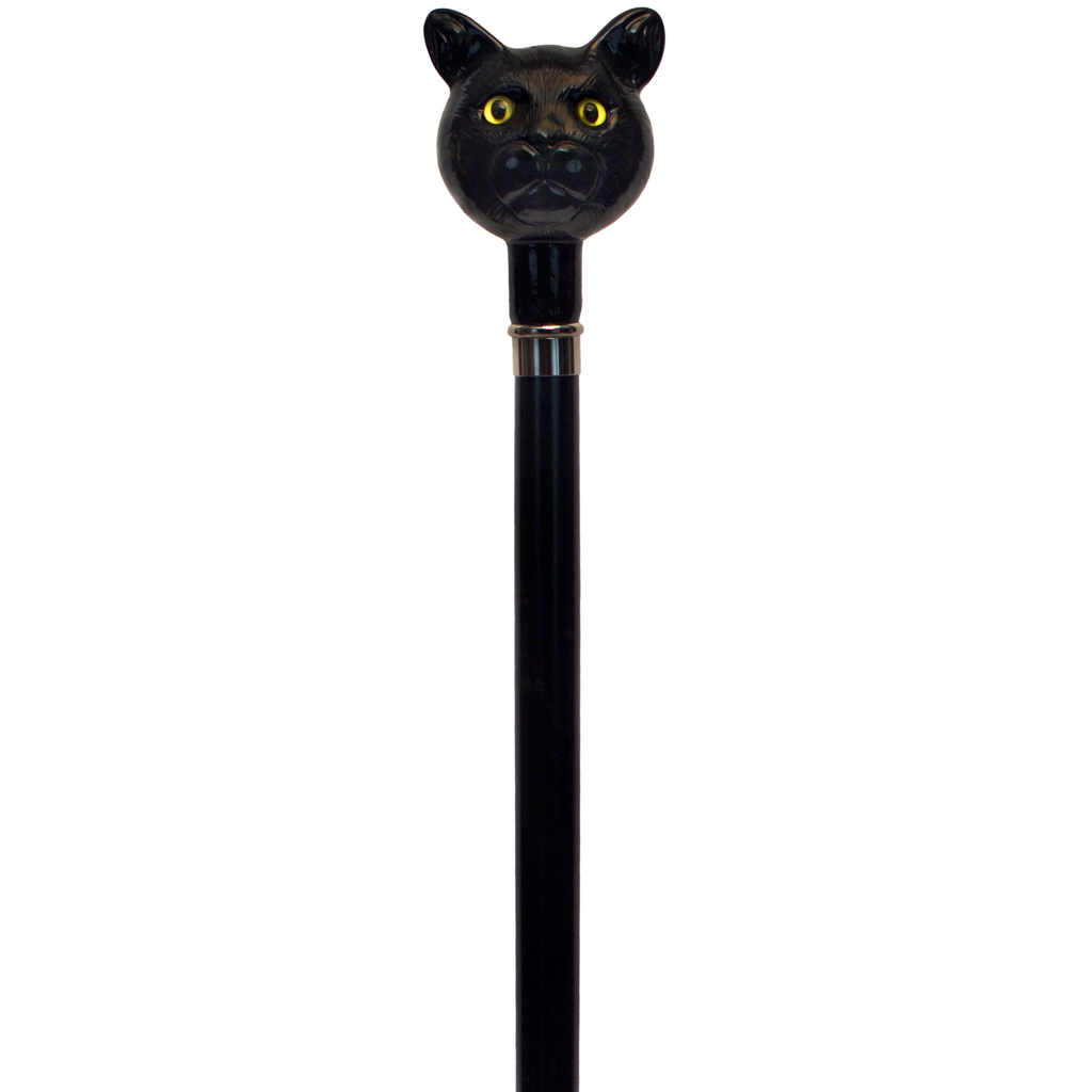 Catatude