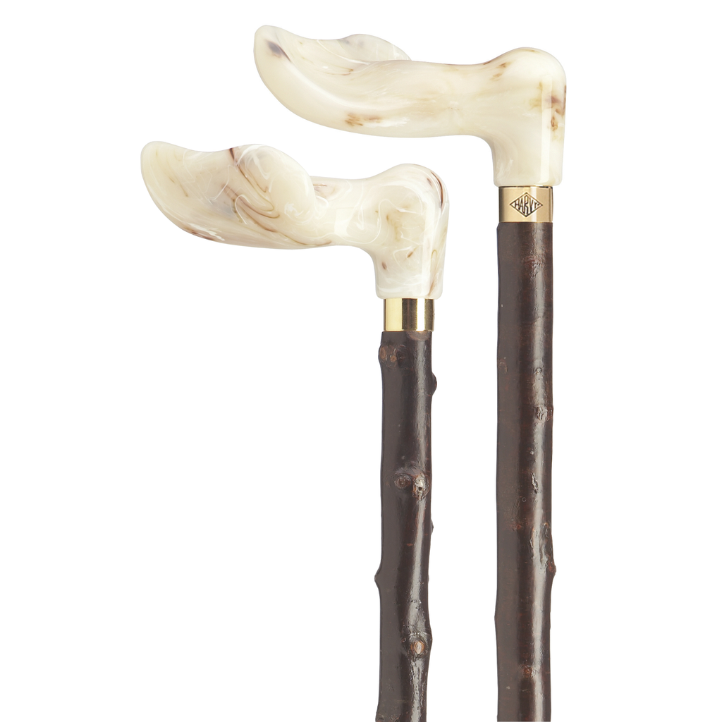 Blackthorn Palm Grip Cane