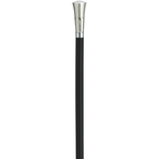 Formal Walking Cane