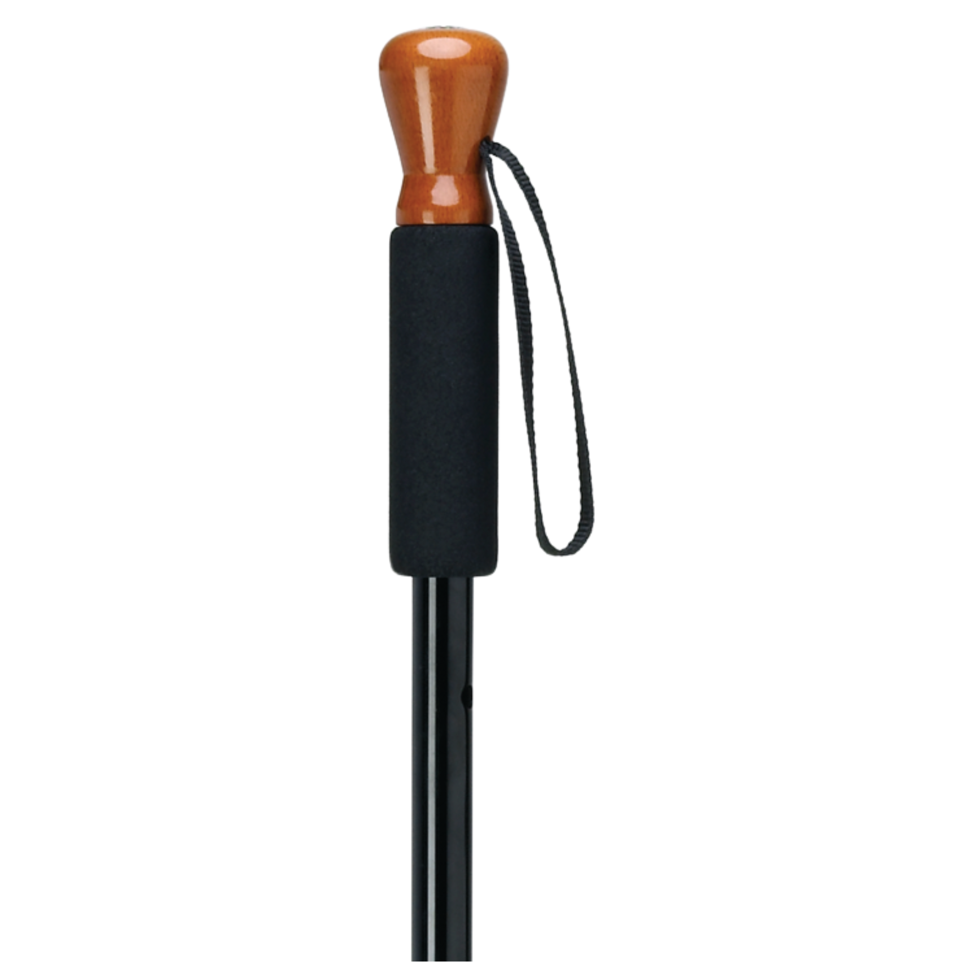 Backcountry Adjustable Hiker