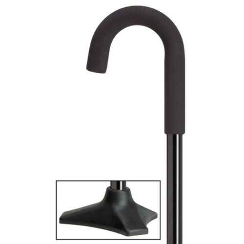 Cane with Stable Base