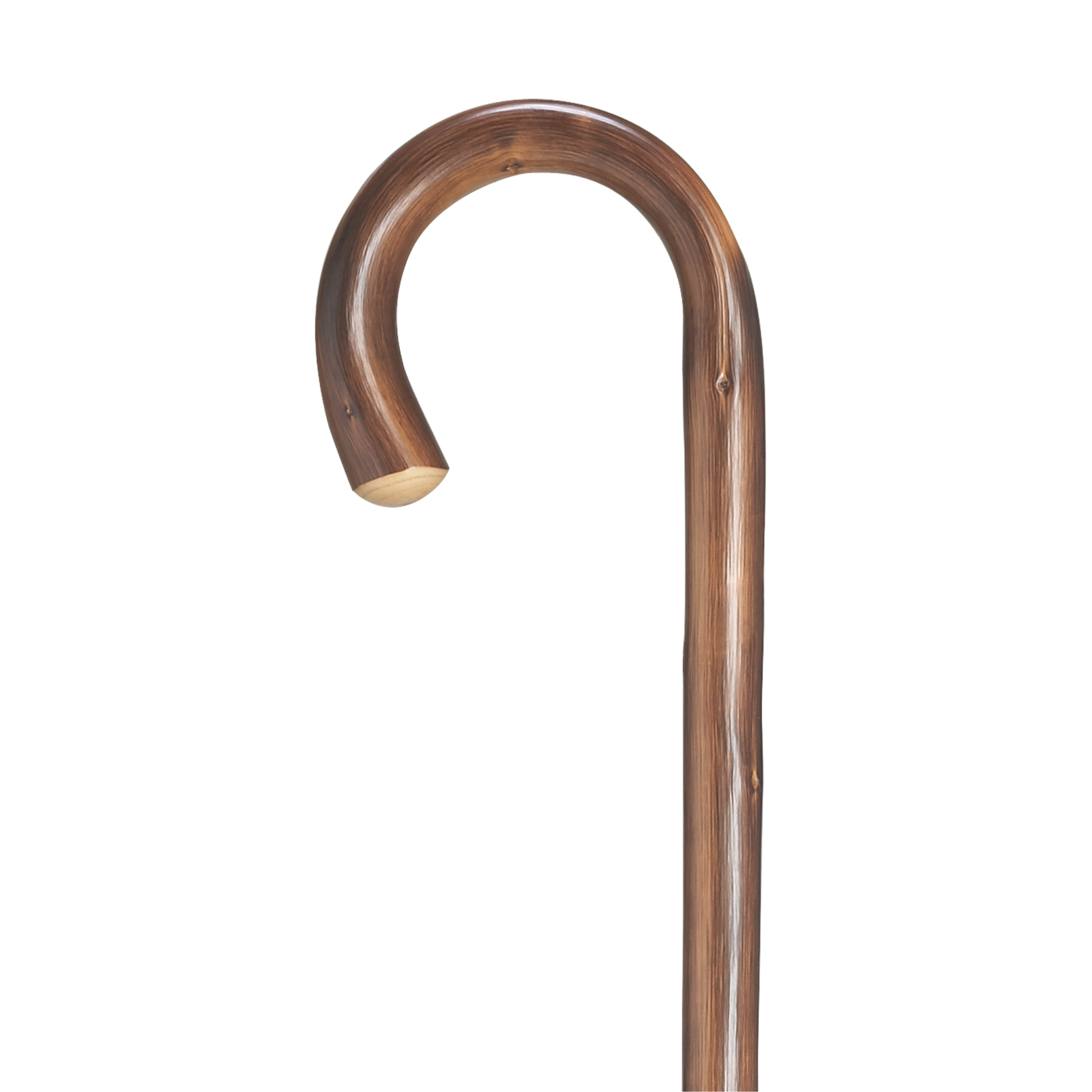 Chestnut Crook Walking Cane - Harvy Canes