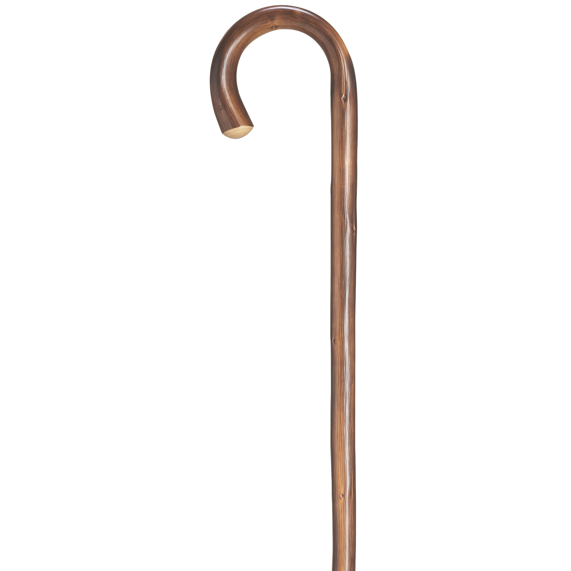 Chestnut Crook Walking Cane - Harvy Canes