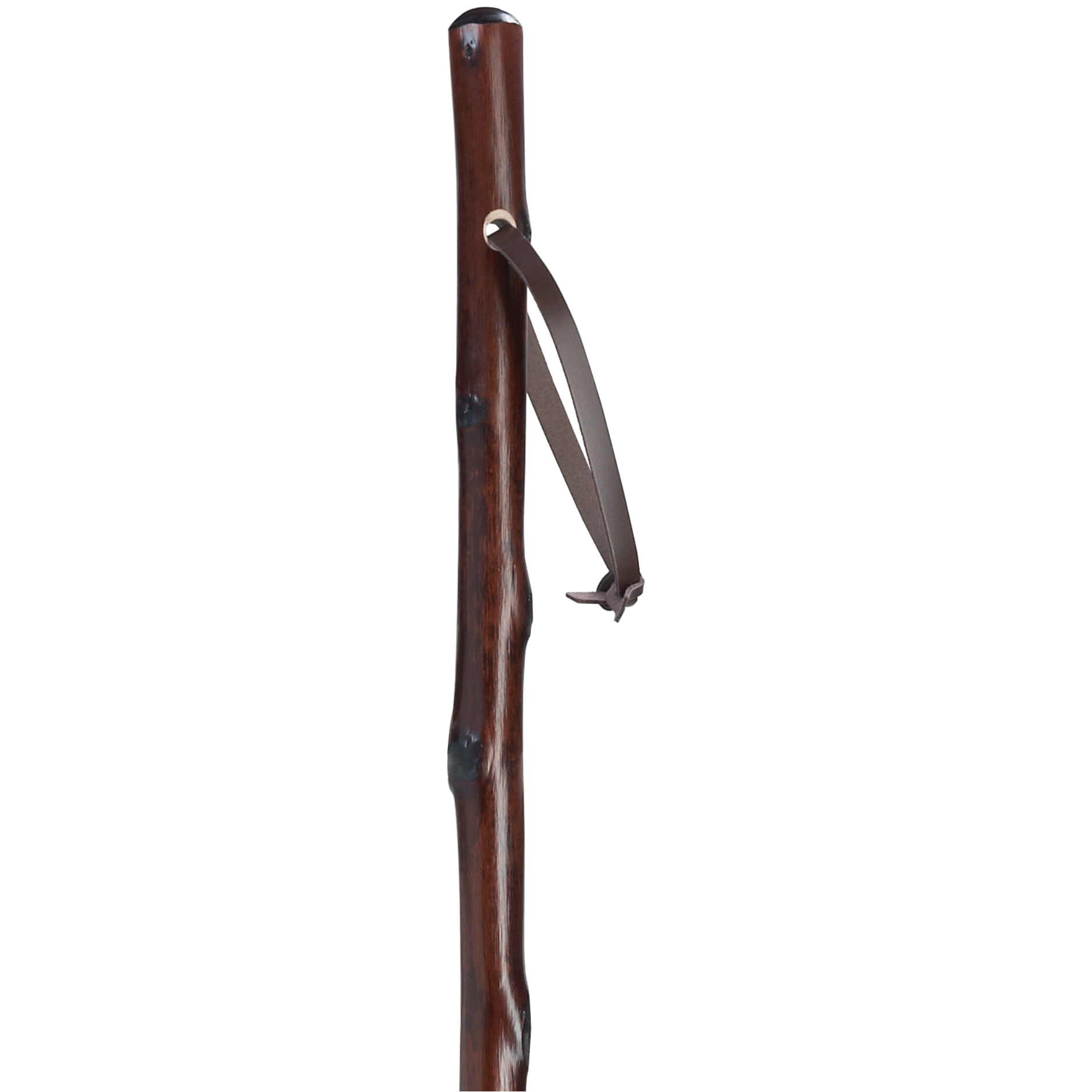Chestnut Hiking Staff-Harvy Canes