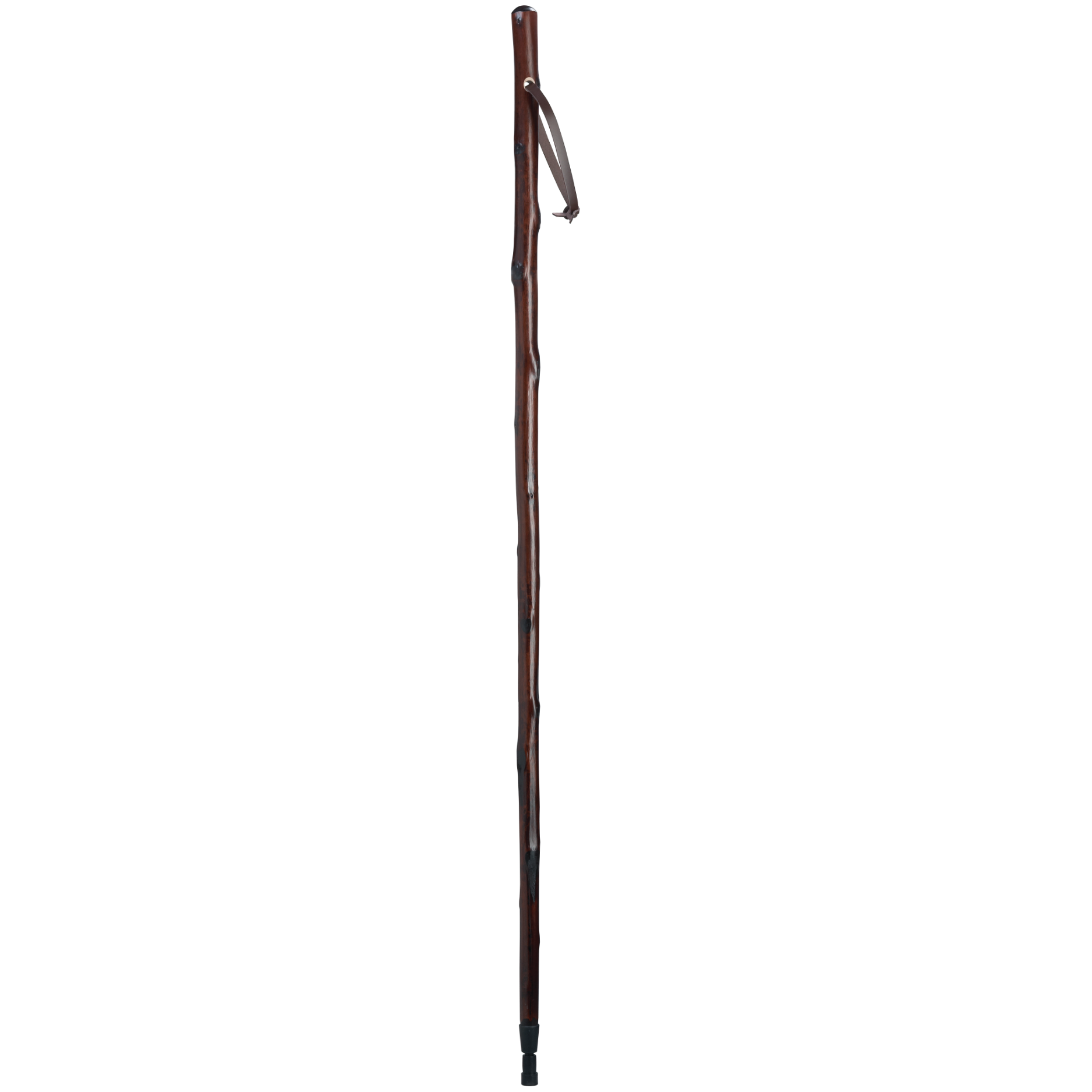 Chestnut Hiking Staff-Harvy Canes
