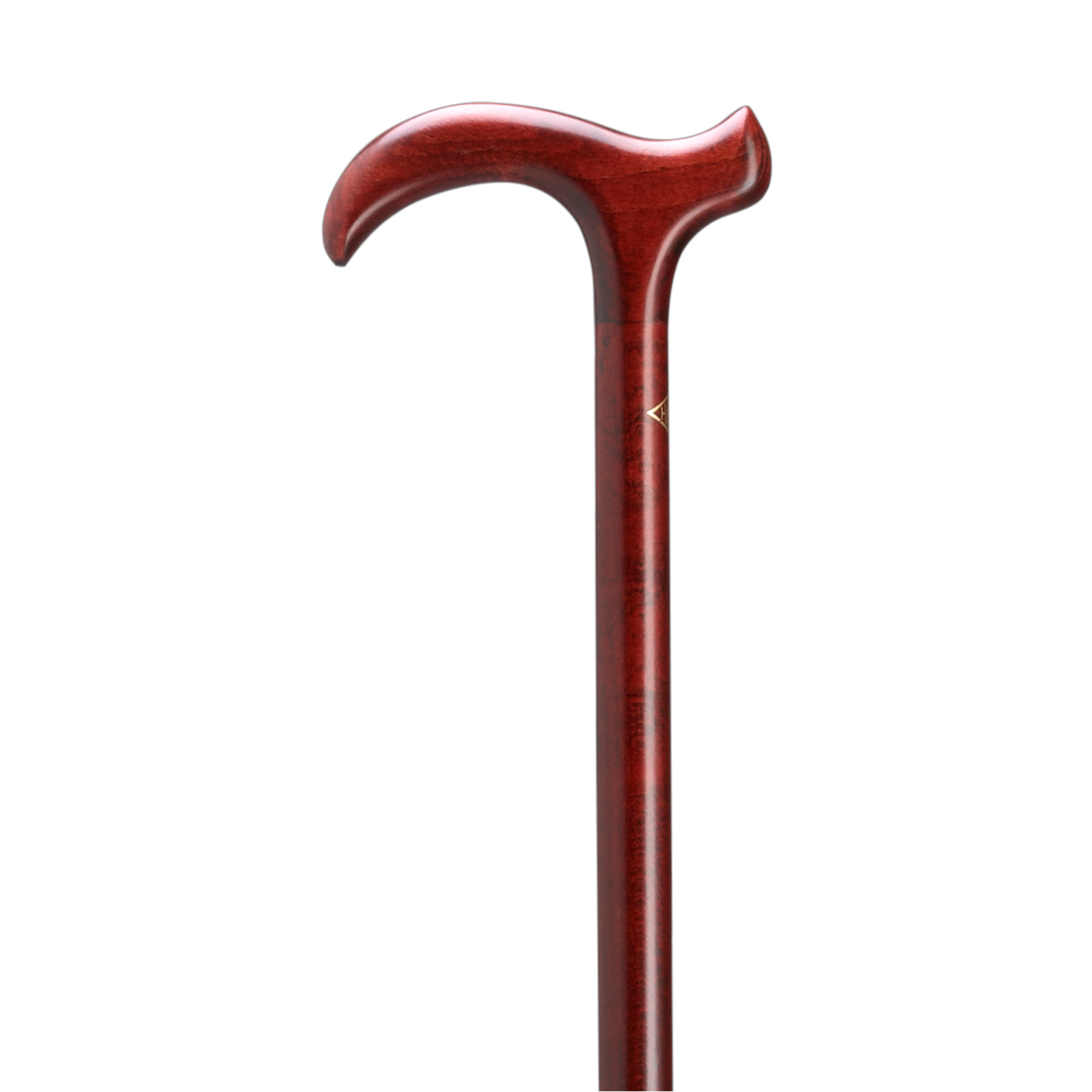 Smart Walking Cane