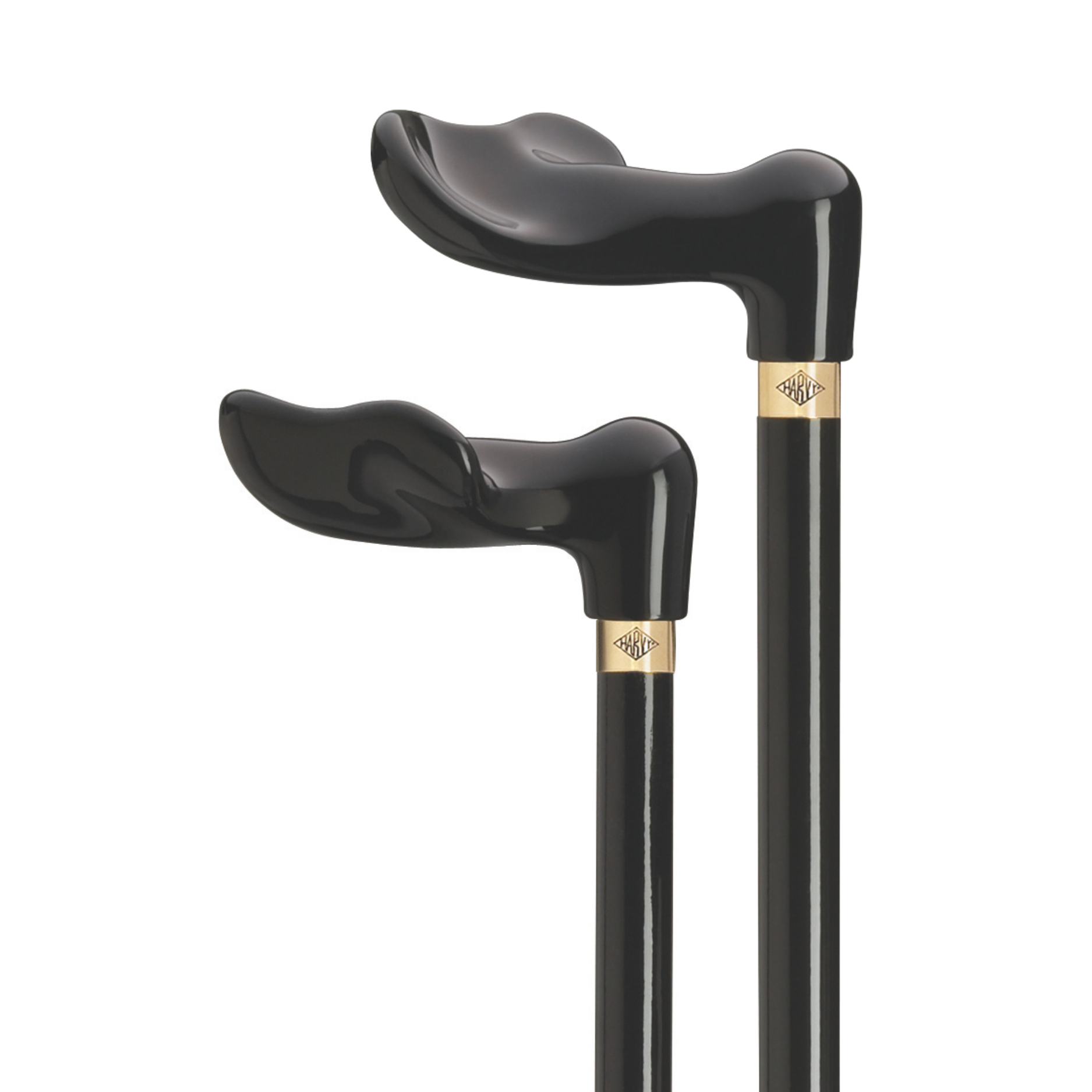 Black Palm Grip Cane- Harvy Canes
