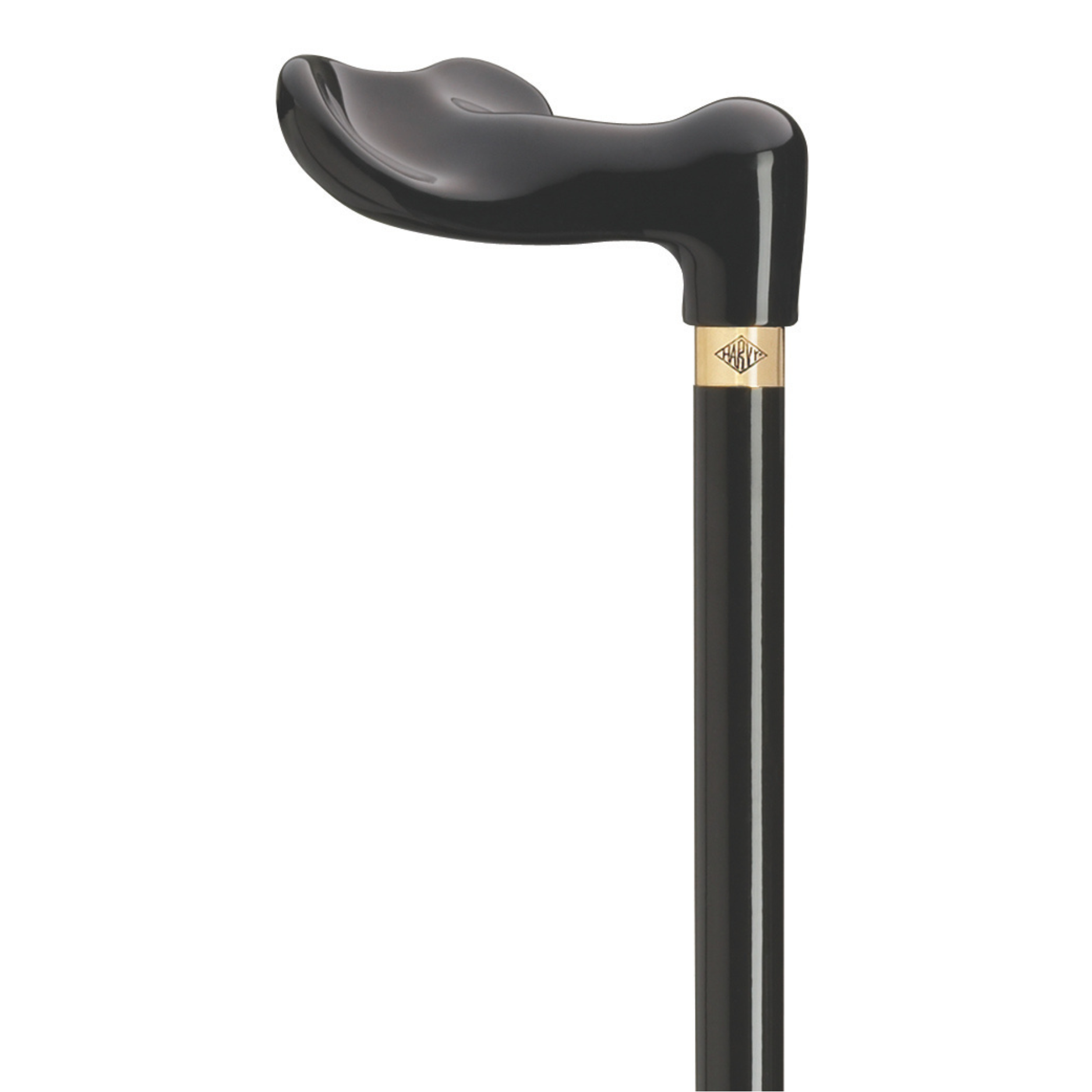 Black Palm Grip Cane- Harvy Canes